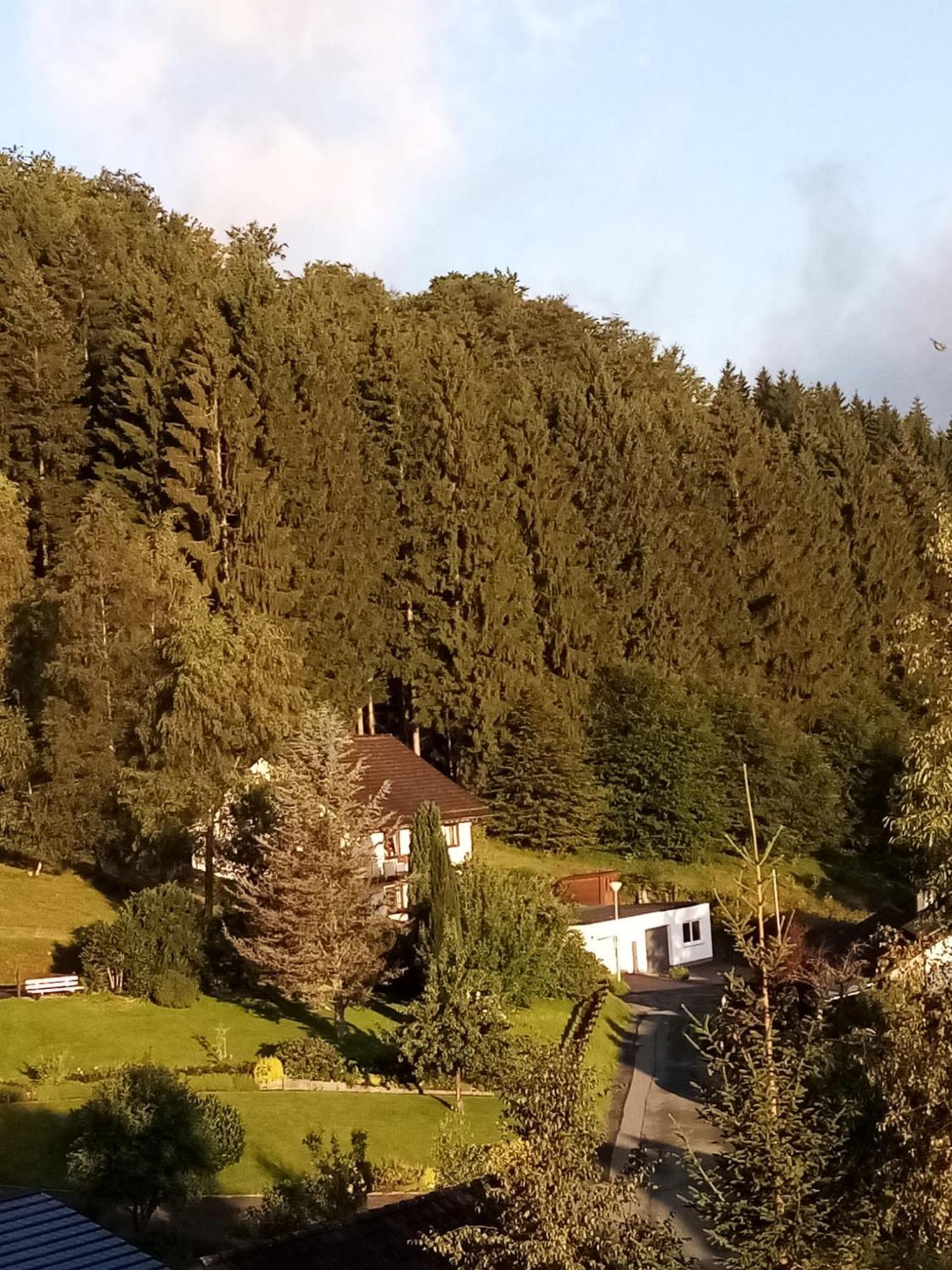 Holiday Home Rehsiepen Schmallenberg Exterior photo
